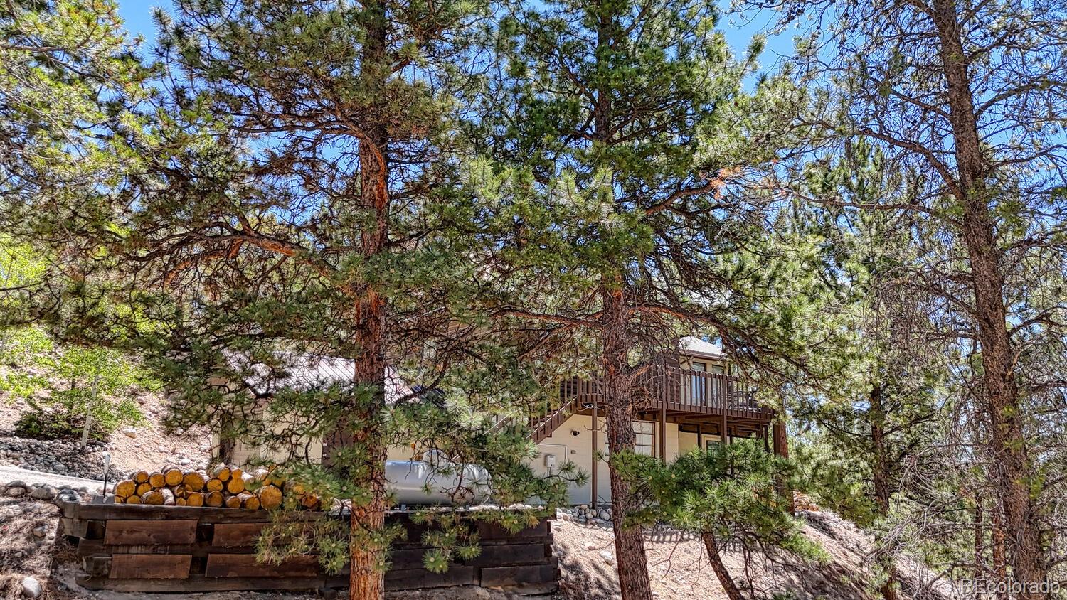 86 La Plata Peak Drive