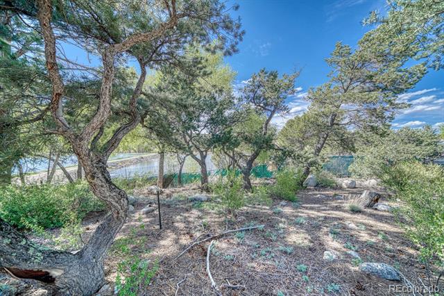 22448 County Road 287