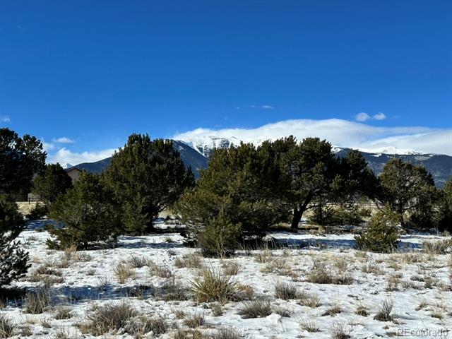 County Road 356-3