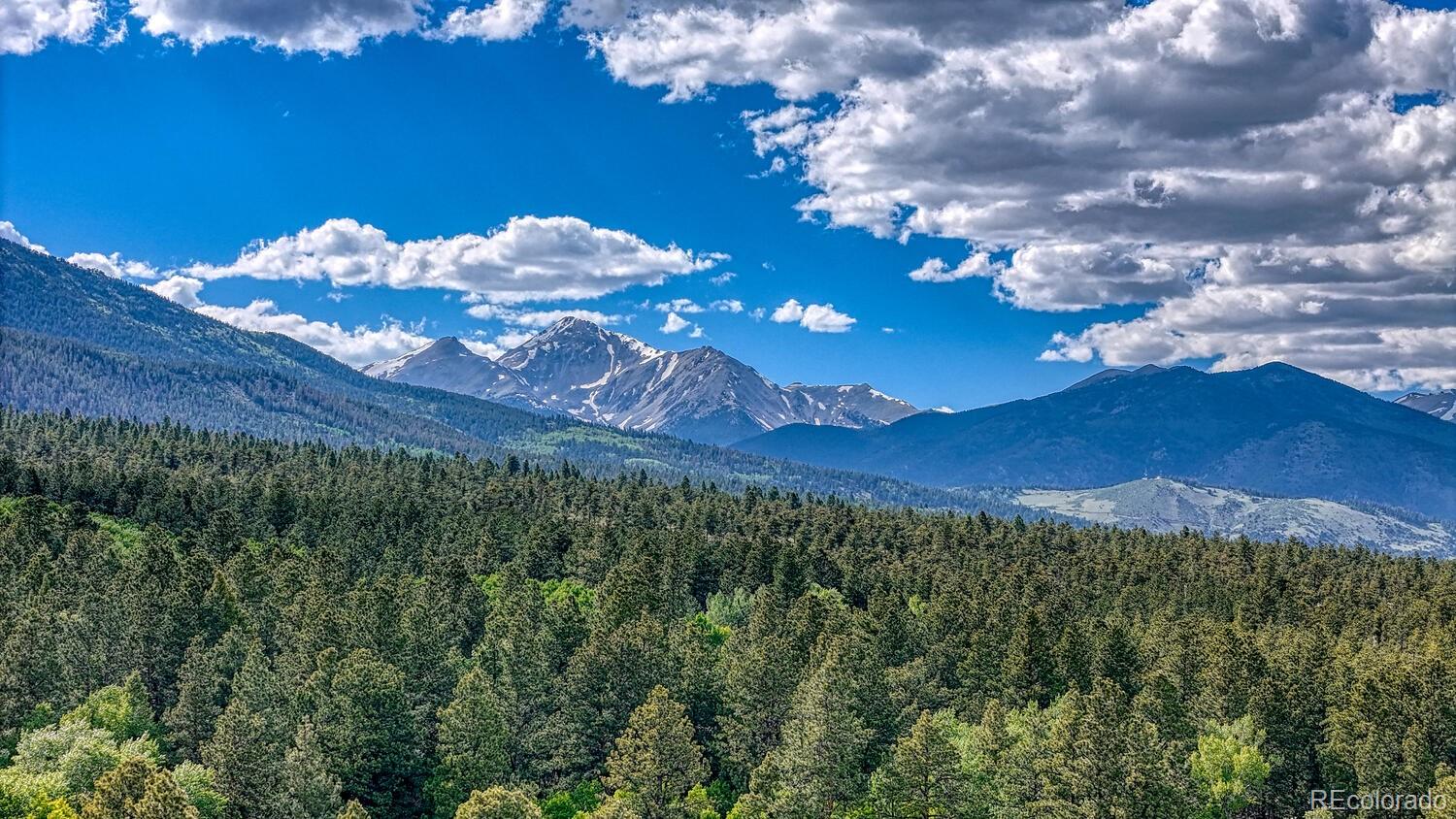 16495 Mt Princeton Road