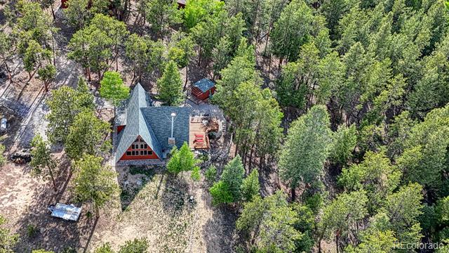 16495 Mt Princeton Road