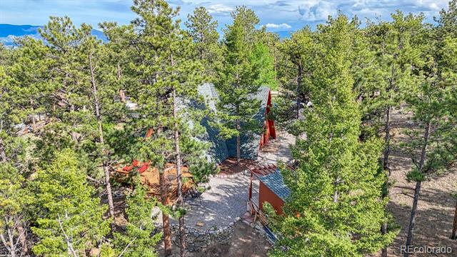 16495 Mt Princeton Road