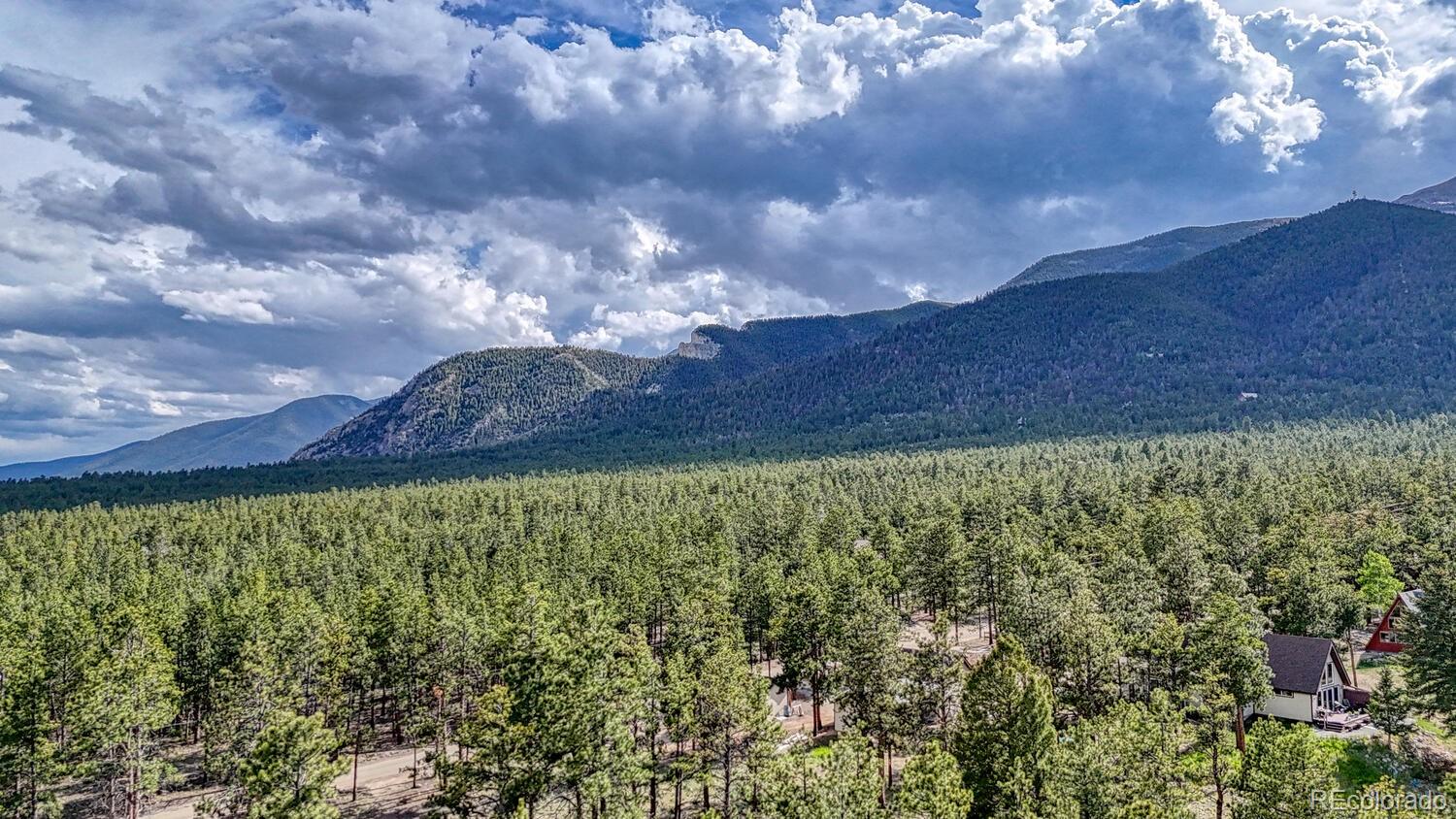 16495 Mt Princeton Road