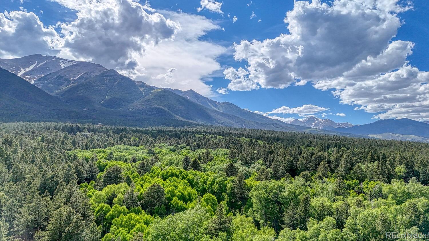 16495 Mt Princeton Road