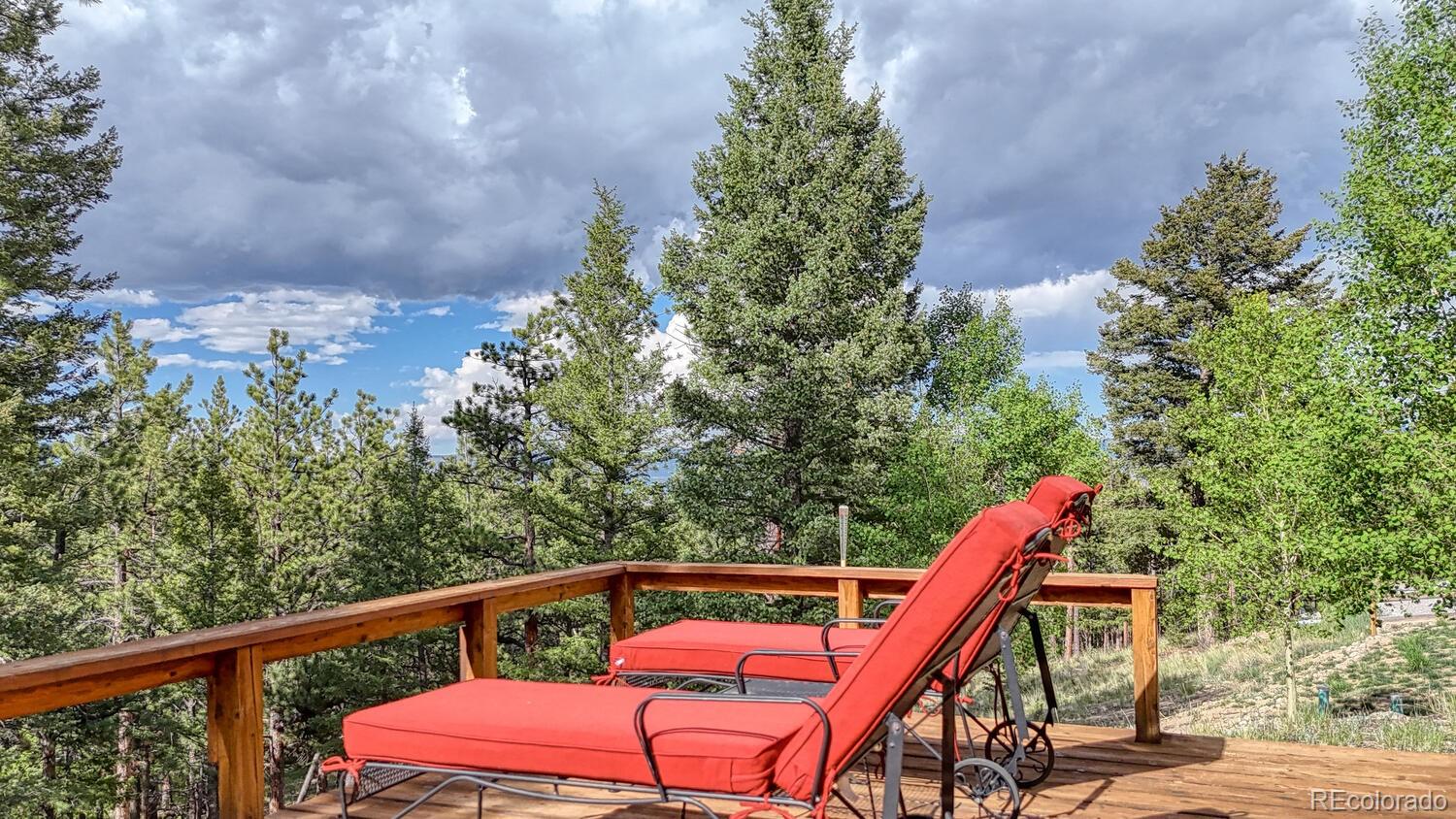 16495 Mt Princeton Road