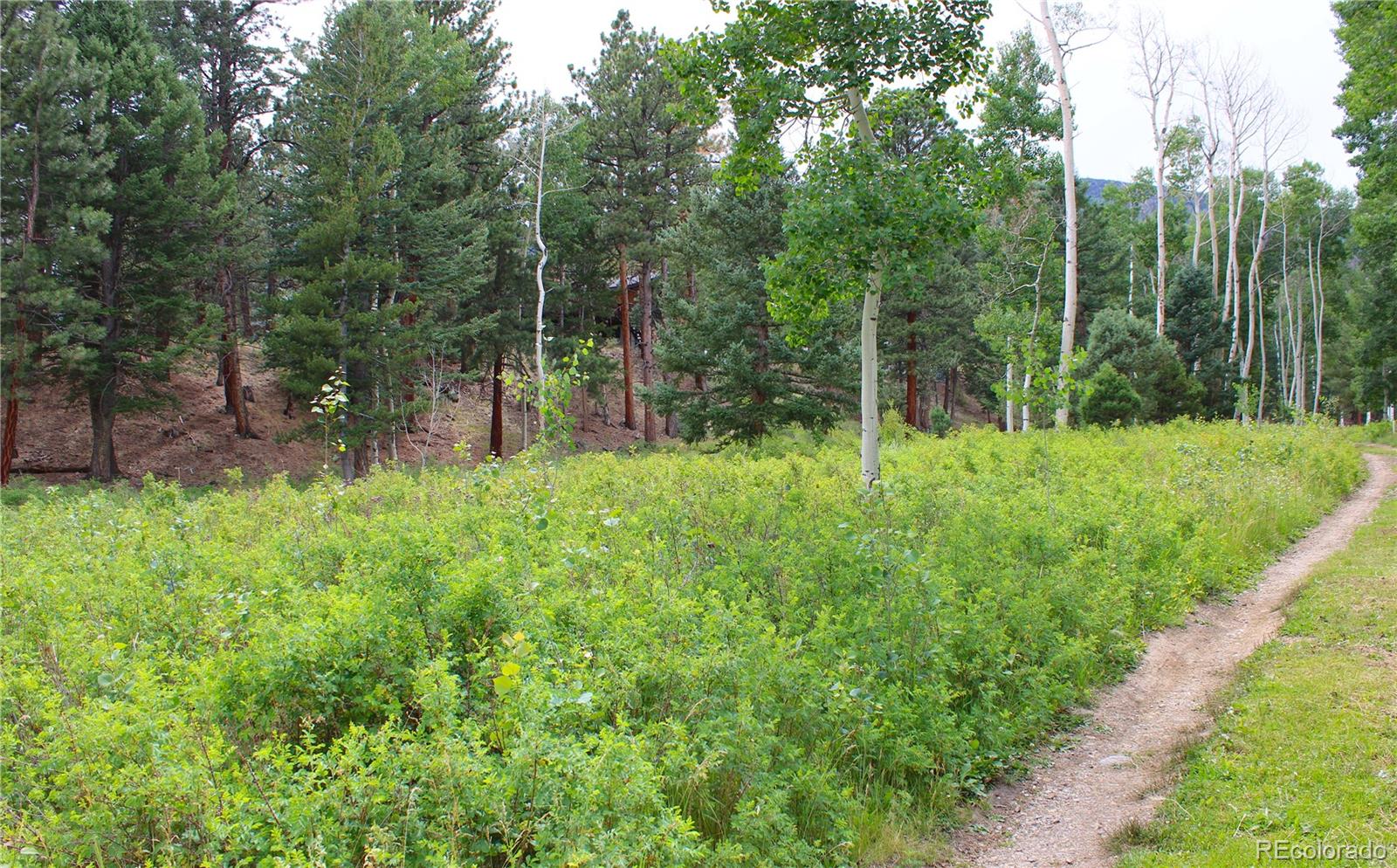 18355 Trail West Drive