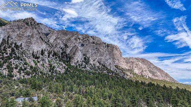 17755 County Road 291