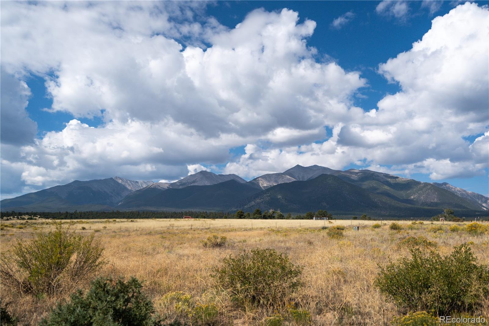 13981 County Road 273