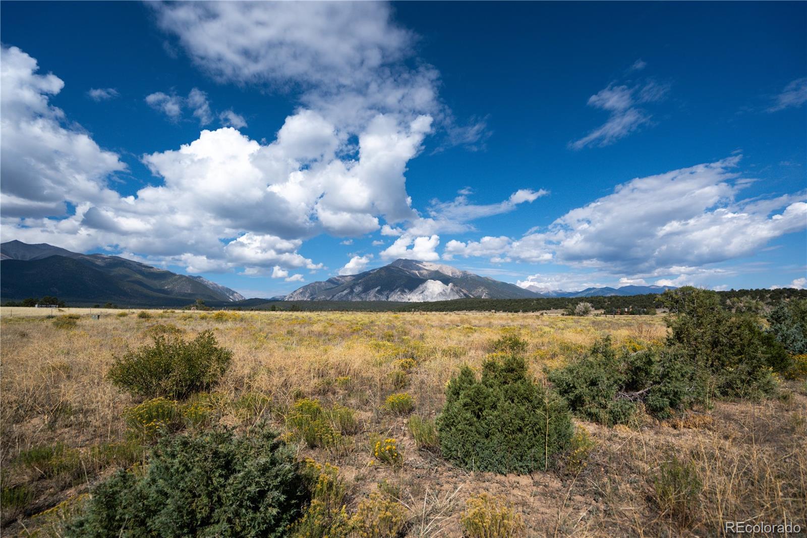 13981 County Road 273