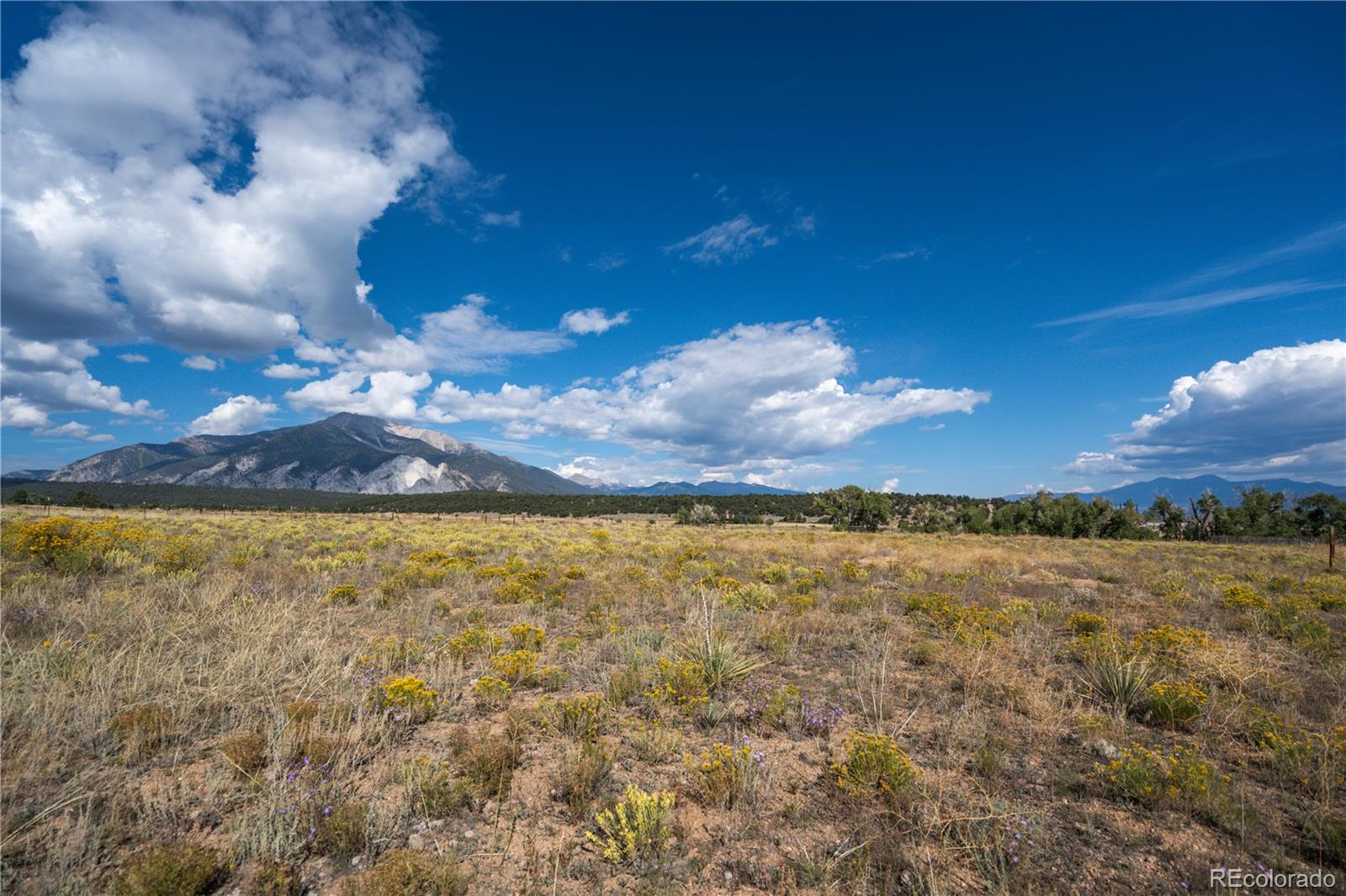 13981 County Road 273