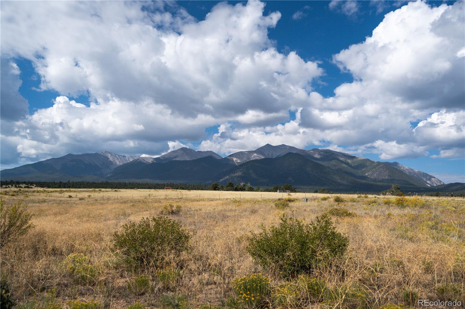 13981 County Road 273