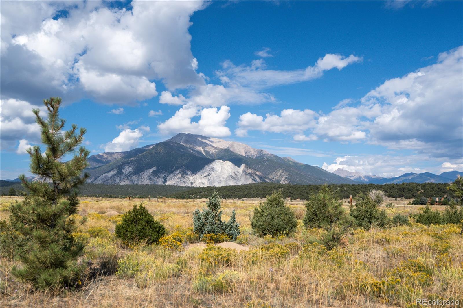 13981 County Road 273