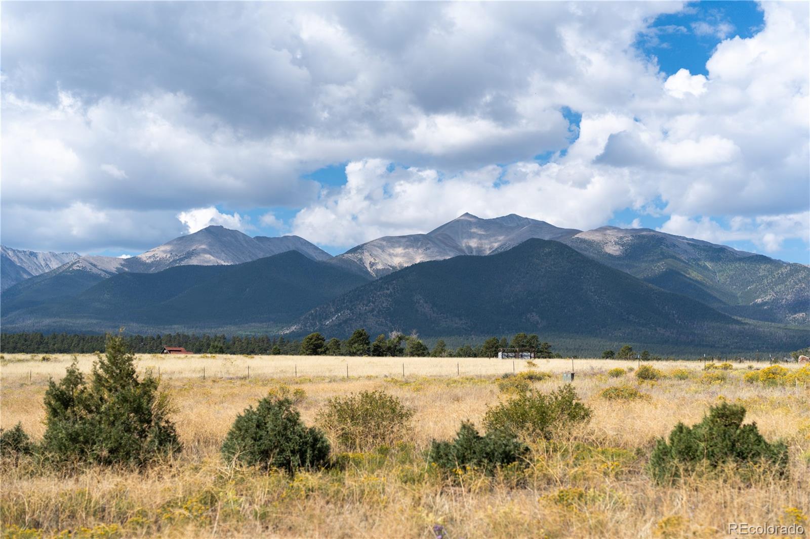 13981 County Road 273