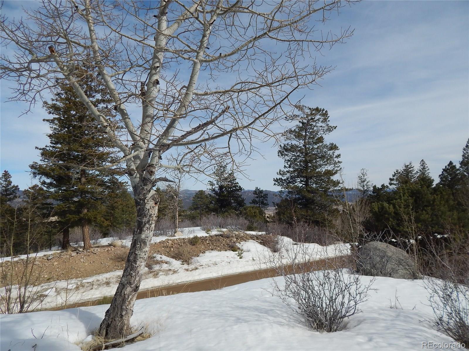 30128 Eagles Ridge
