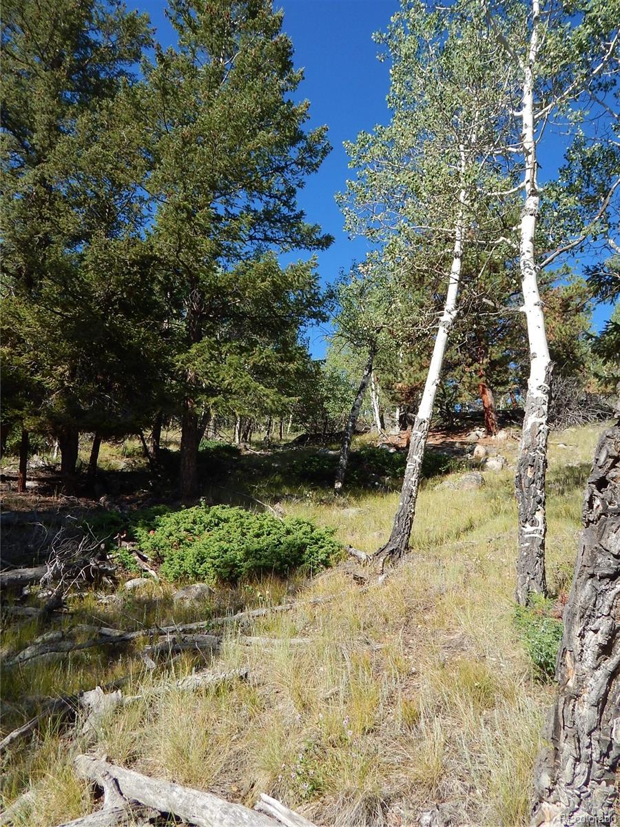 30128 Eagles Ridge