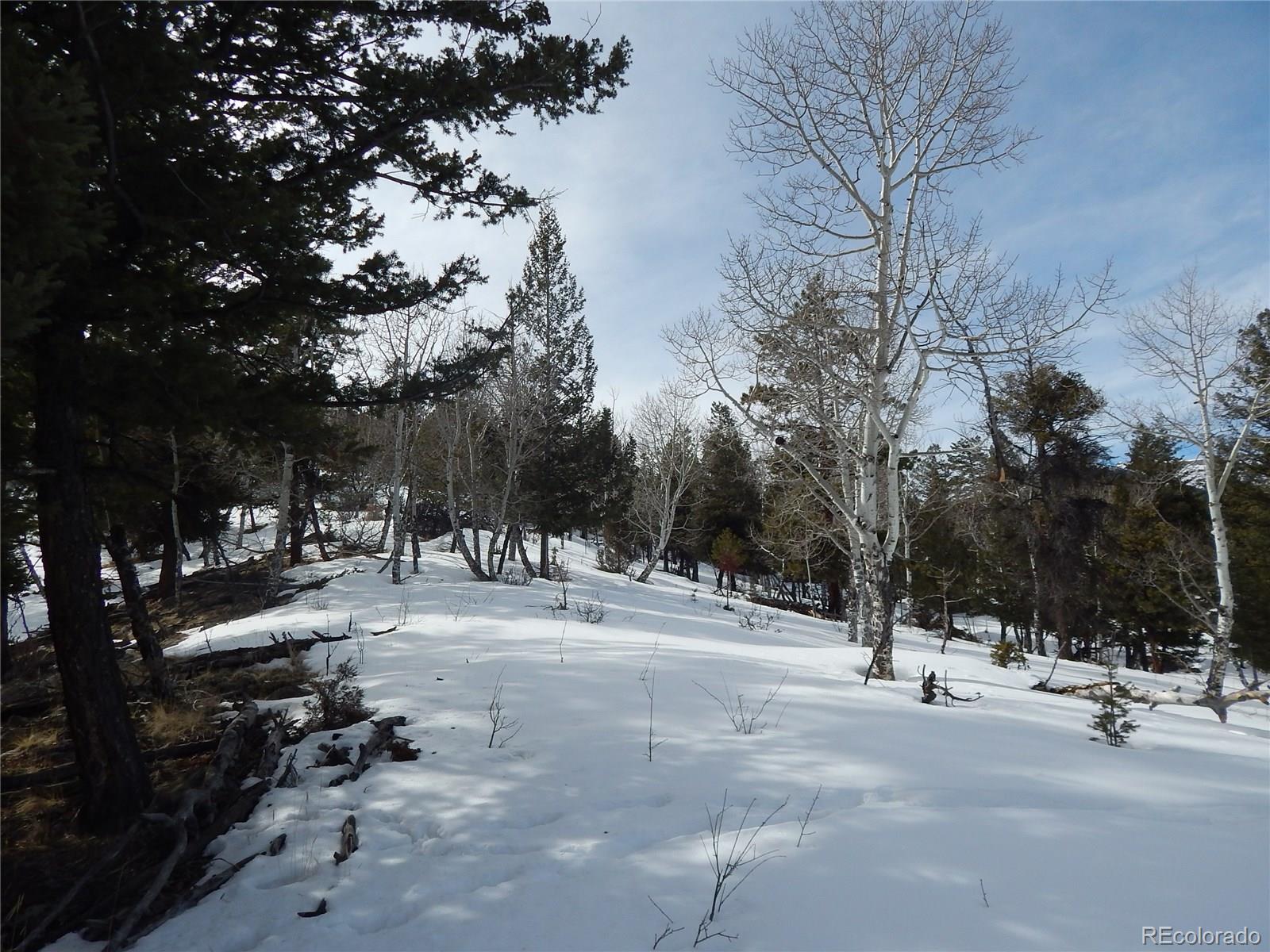 30128 Eagles Ridge