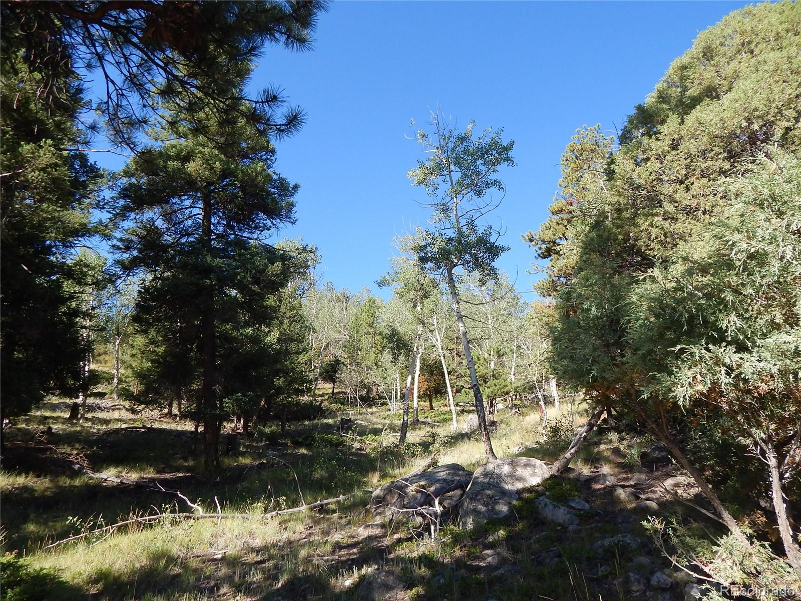 30128 Eagles Ridge