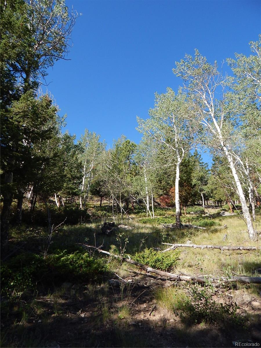 30128 Eagles Ridge
