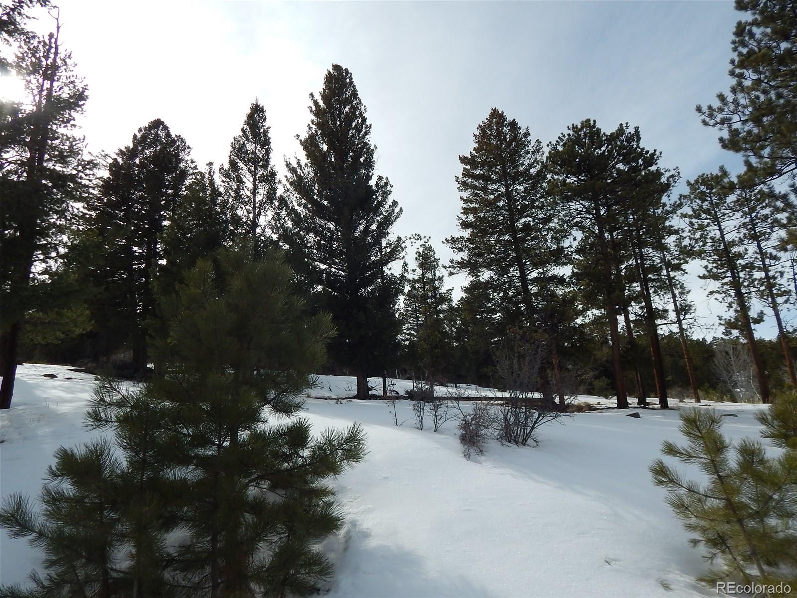 30128 Eagles Ridge