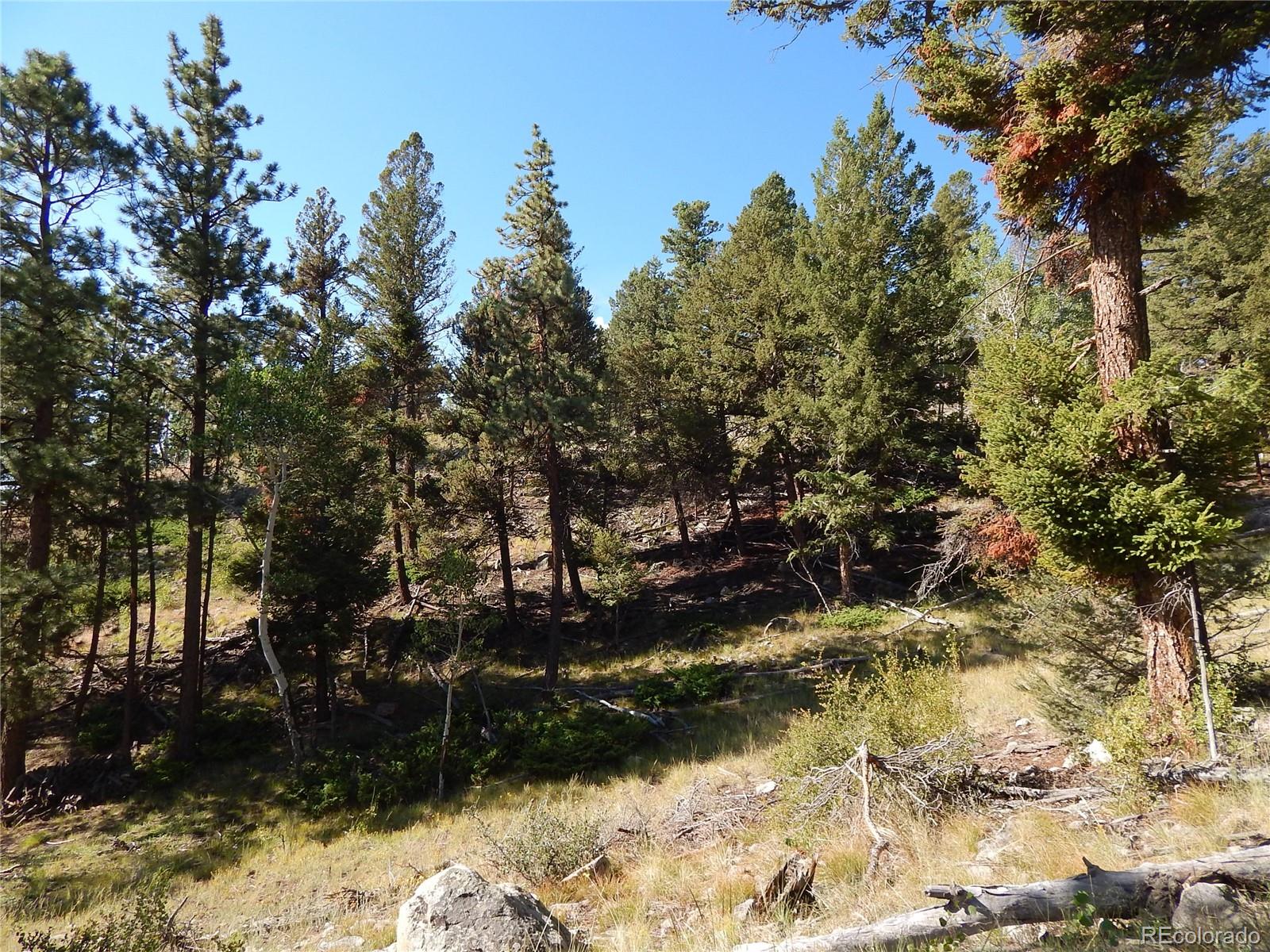 30128 Eagles Ridge