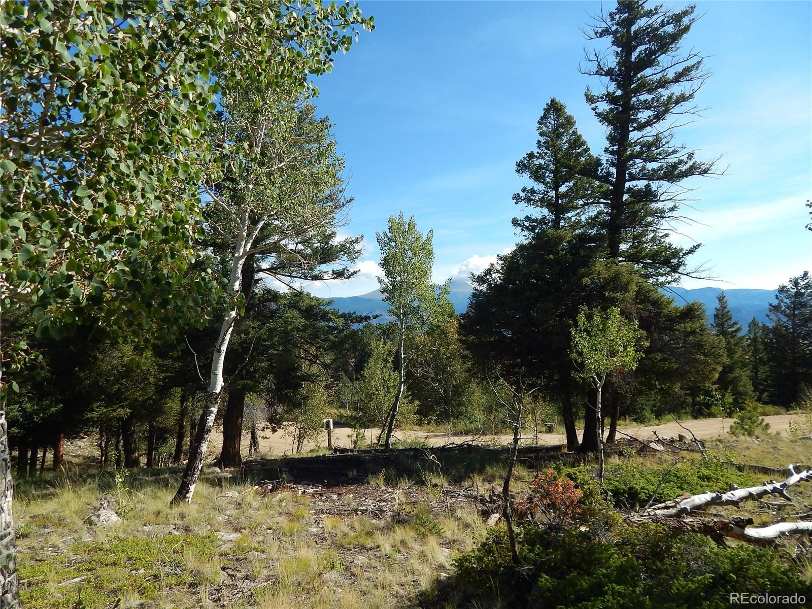 30128 Eagles Ridge