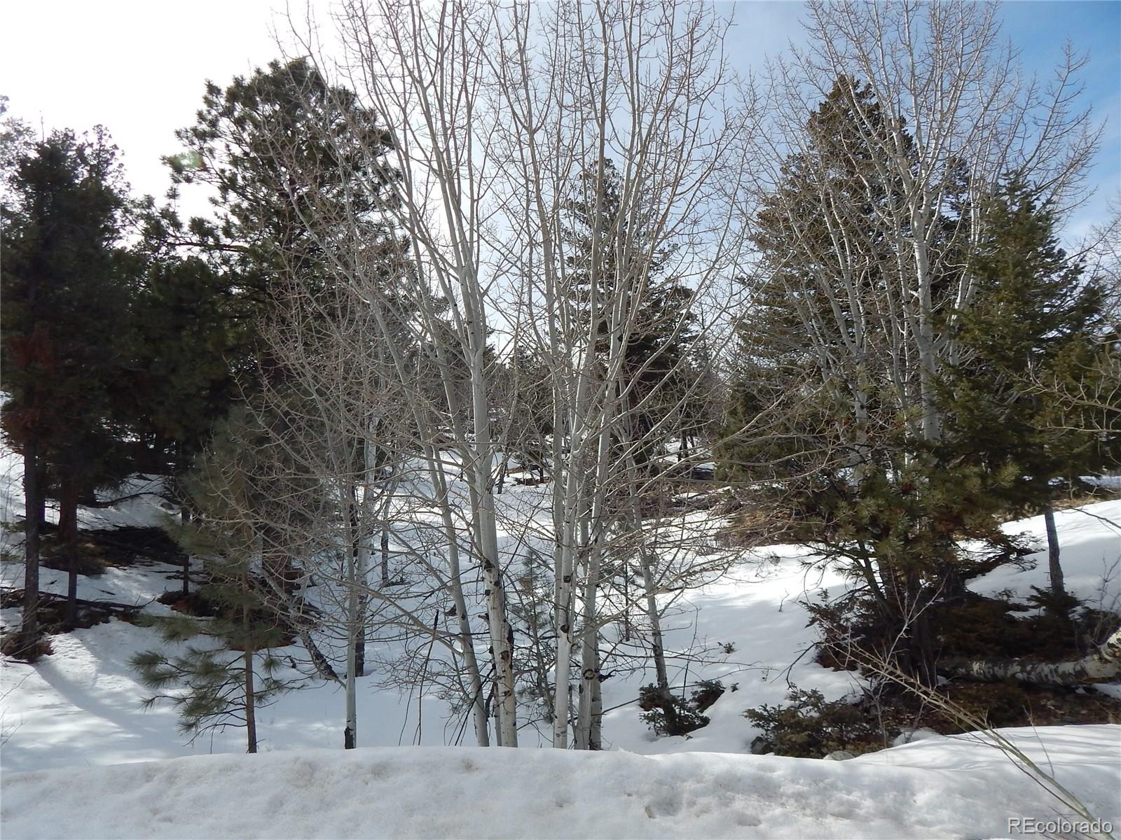 30128 Eagles Ridge