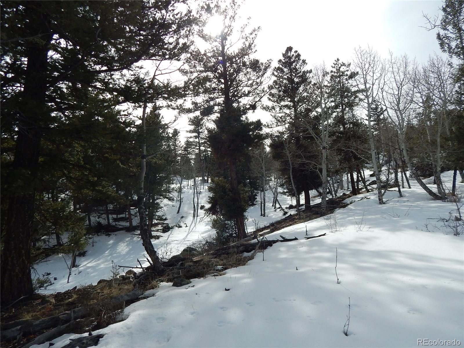 30128 Eagles Ridge