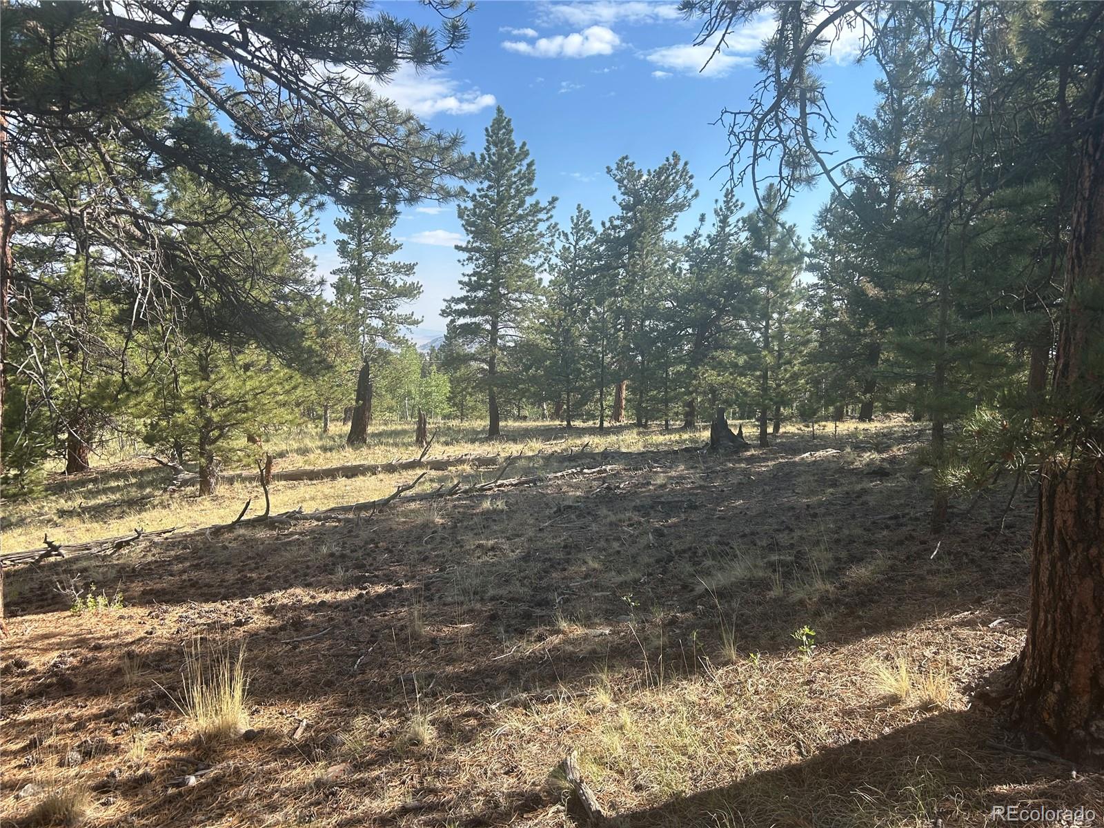 3361 Singletree Road