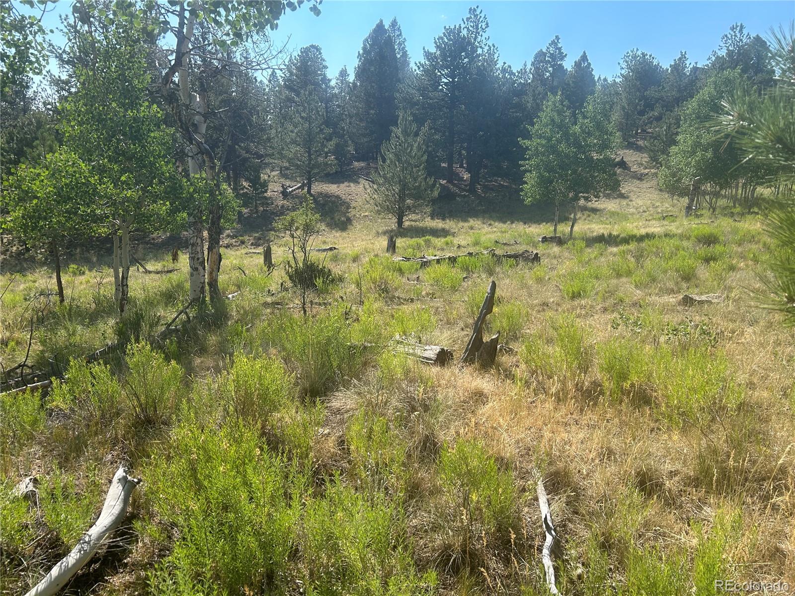 3361 Singletree Road