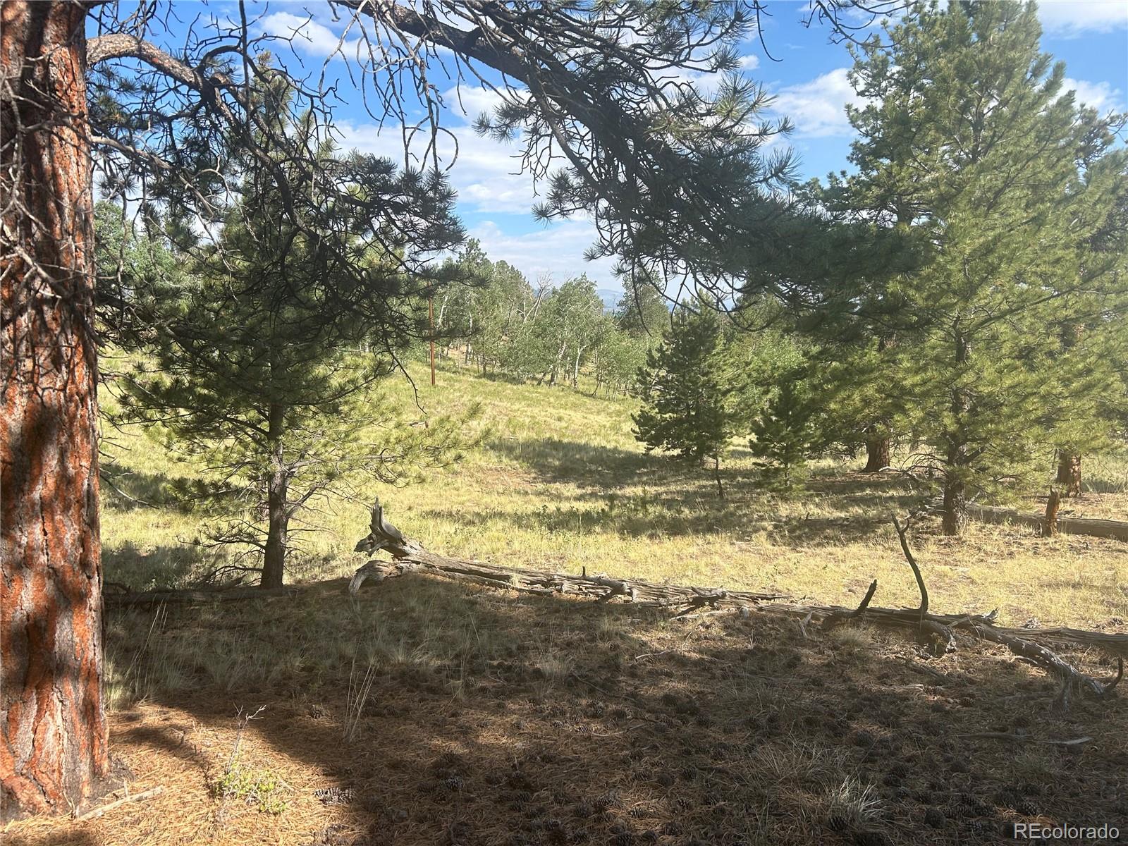 3361 Singletree Road