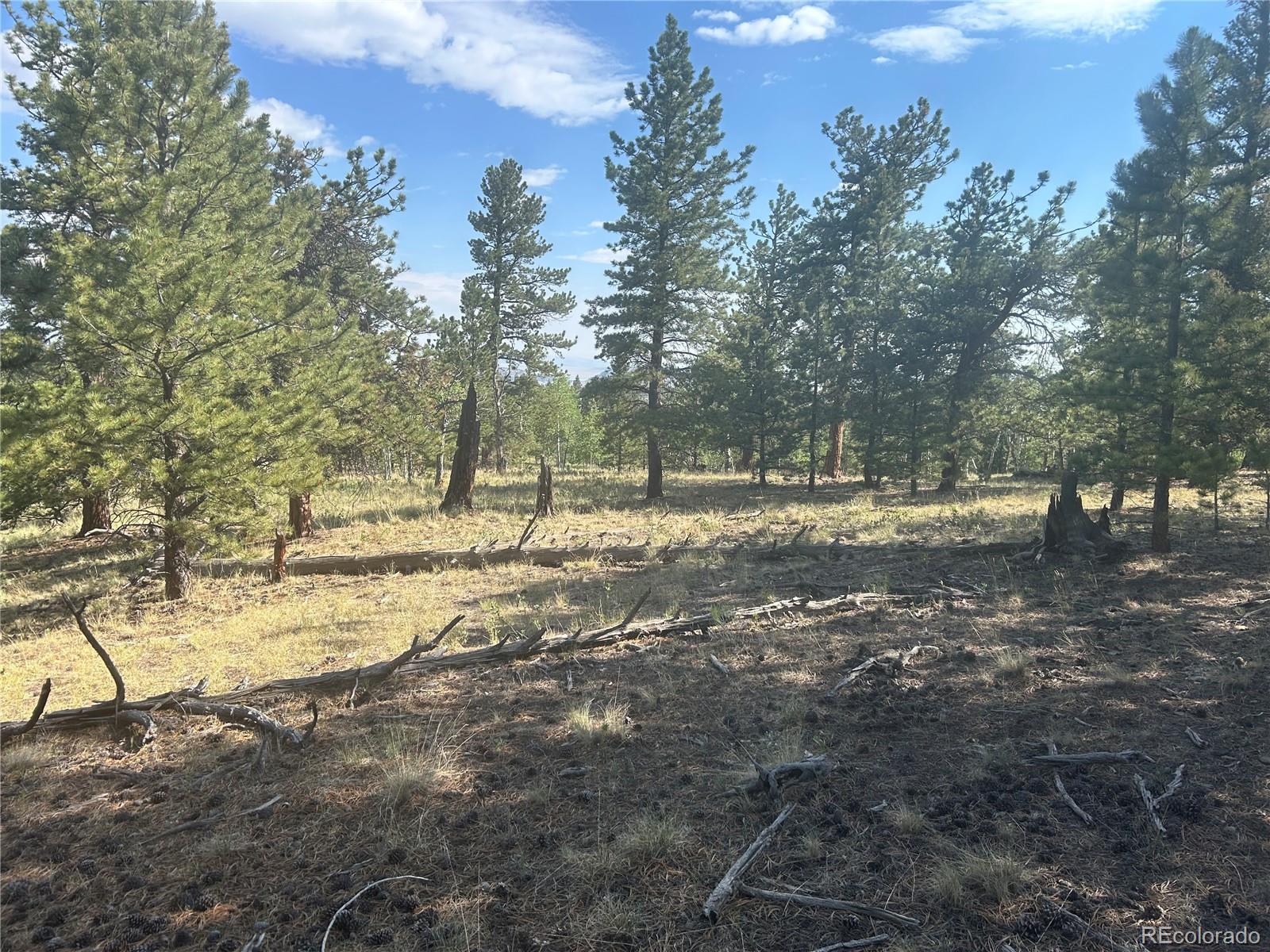 3361 Singletree Road