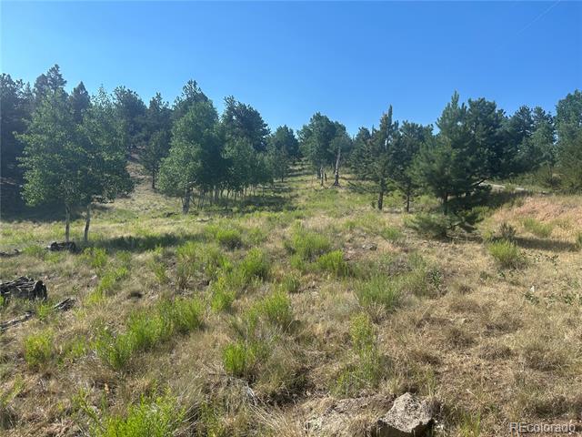 3361 Singletree Road