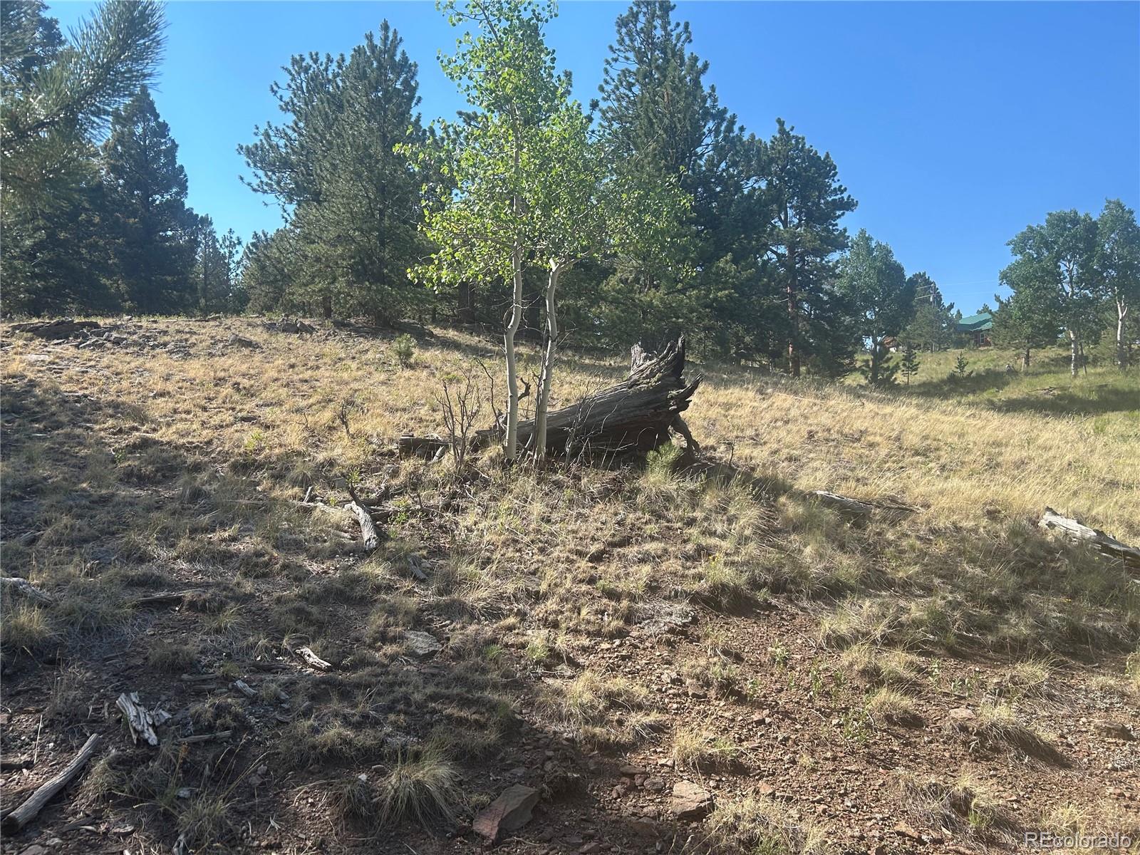 3361 Singletree Road