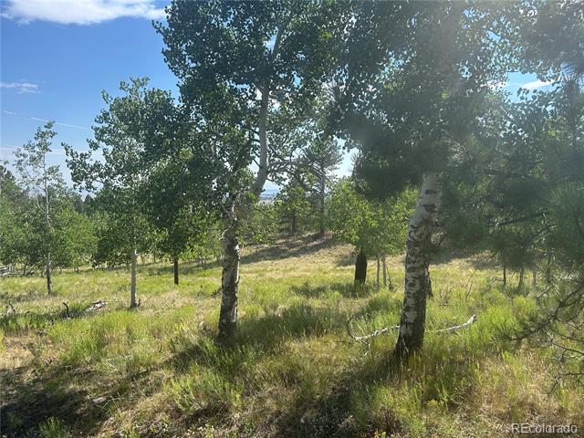 3361 Singletree Road