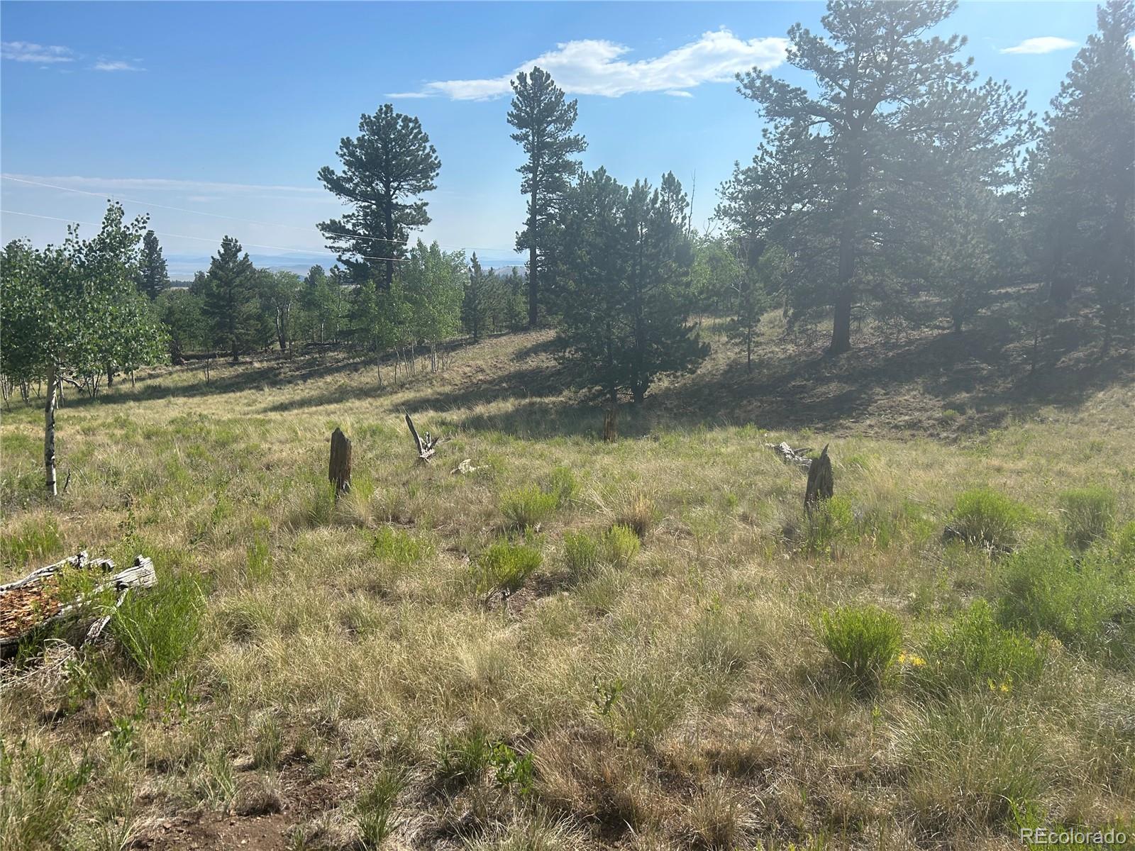 3361 Singletree Road