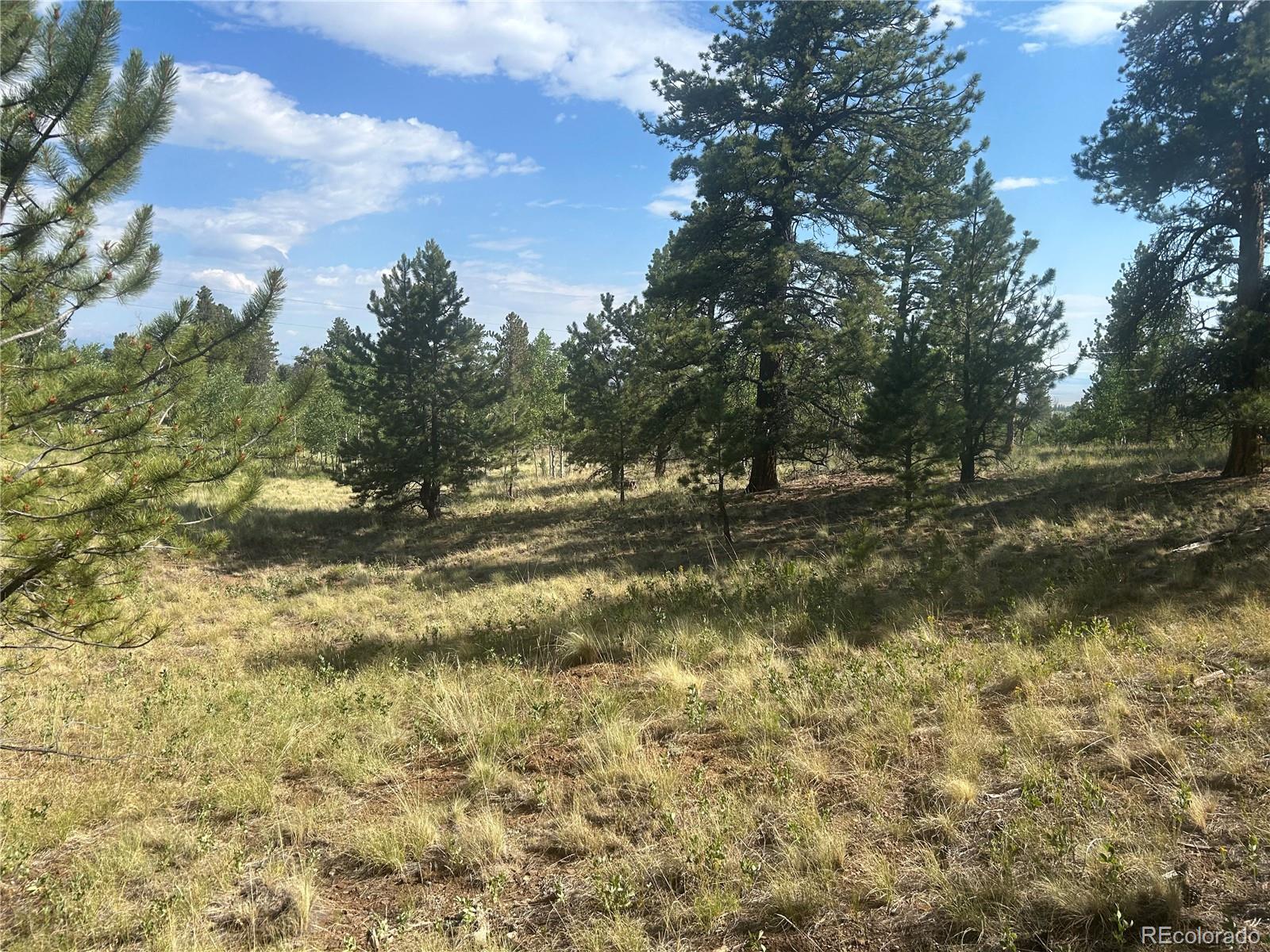 3361 Singletree Road