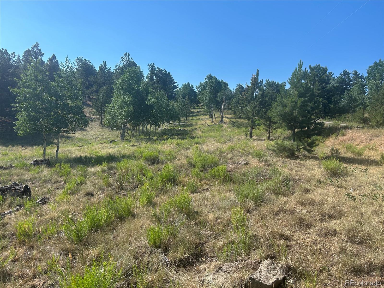 3361 Singletree Road