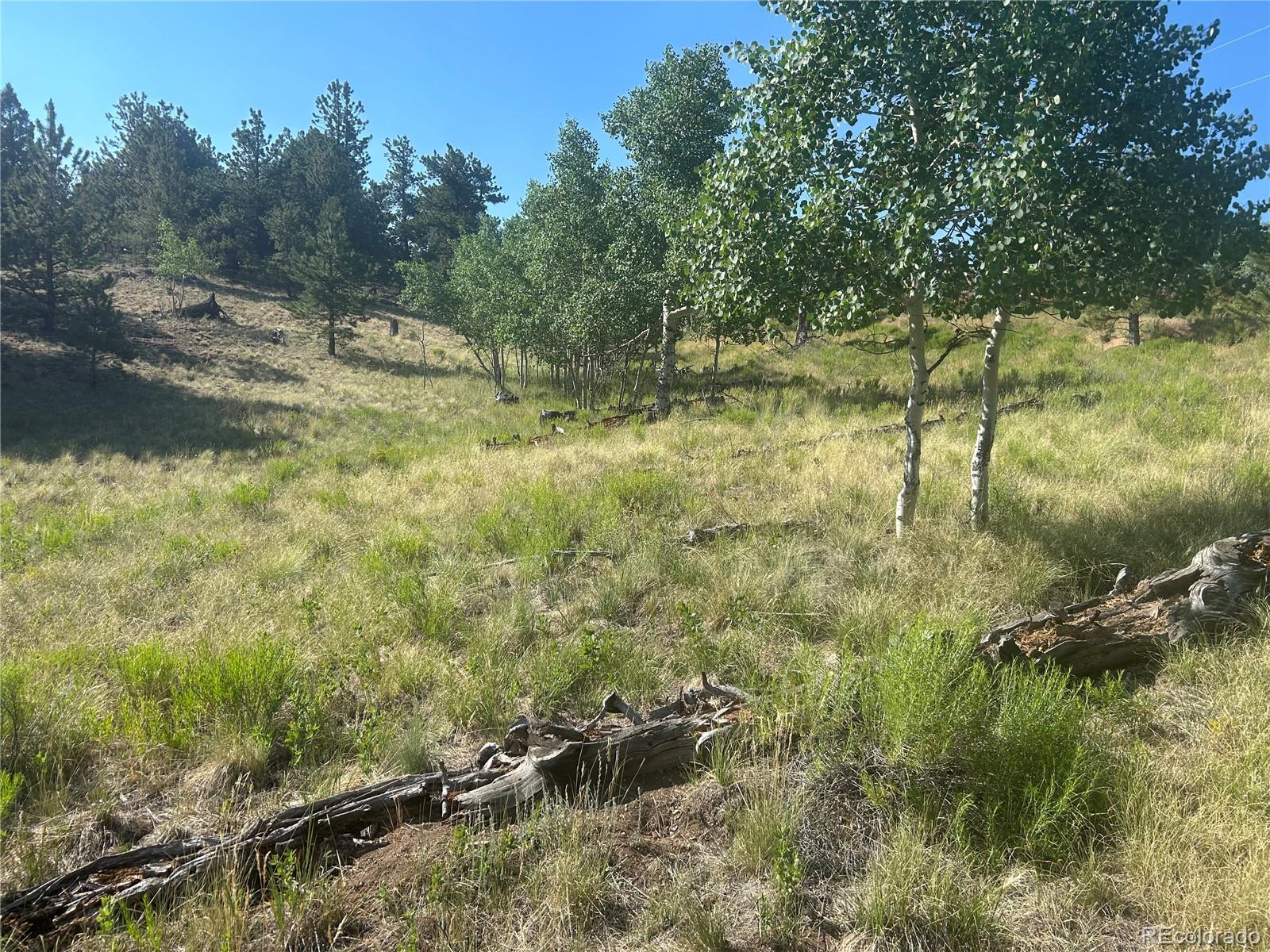 3361 Singletree Road