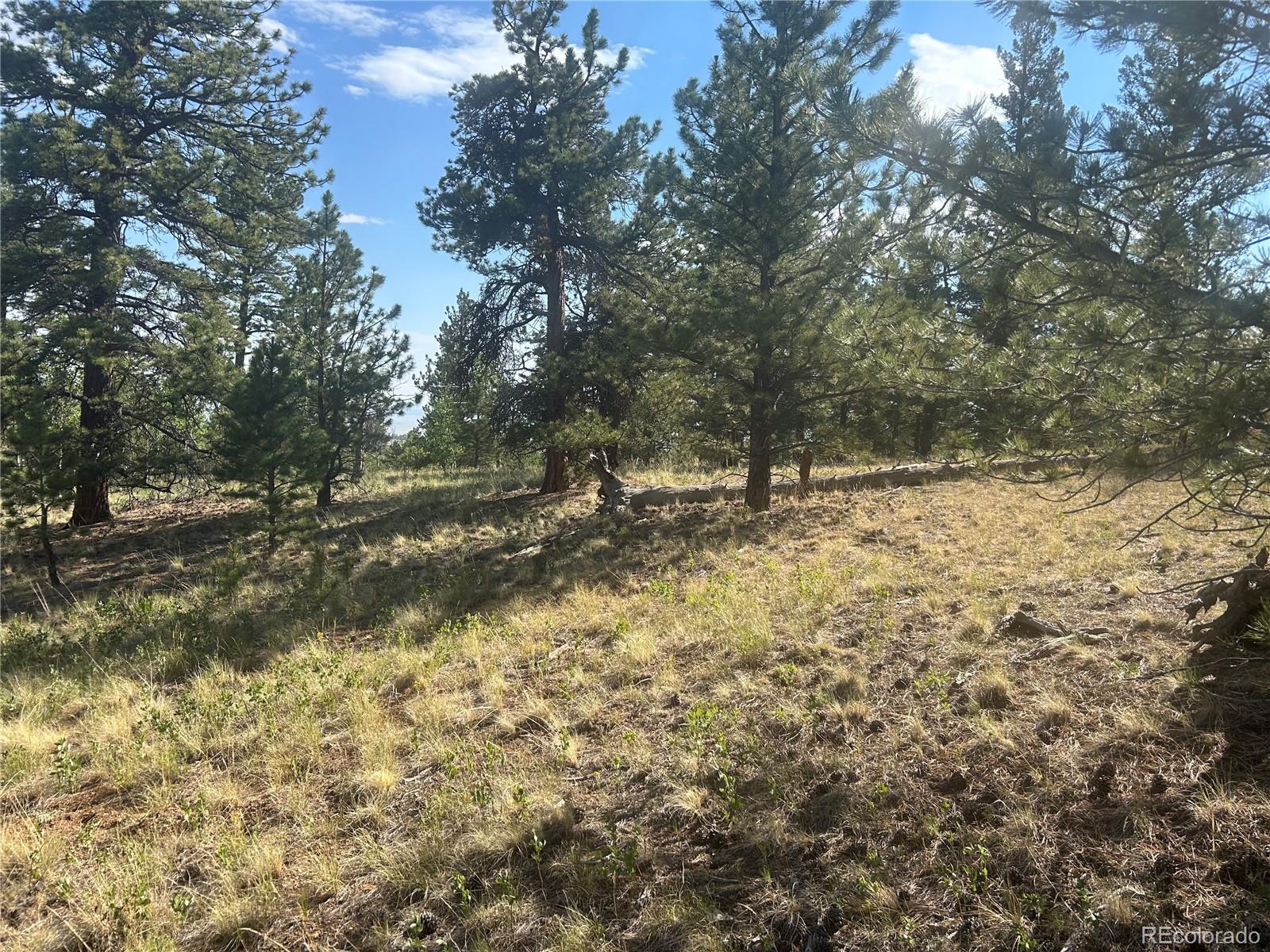 3361 Singletree Road