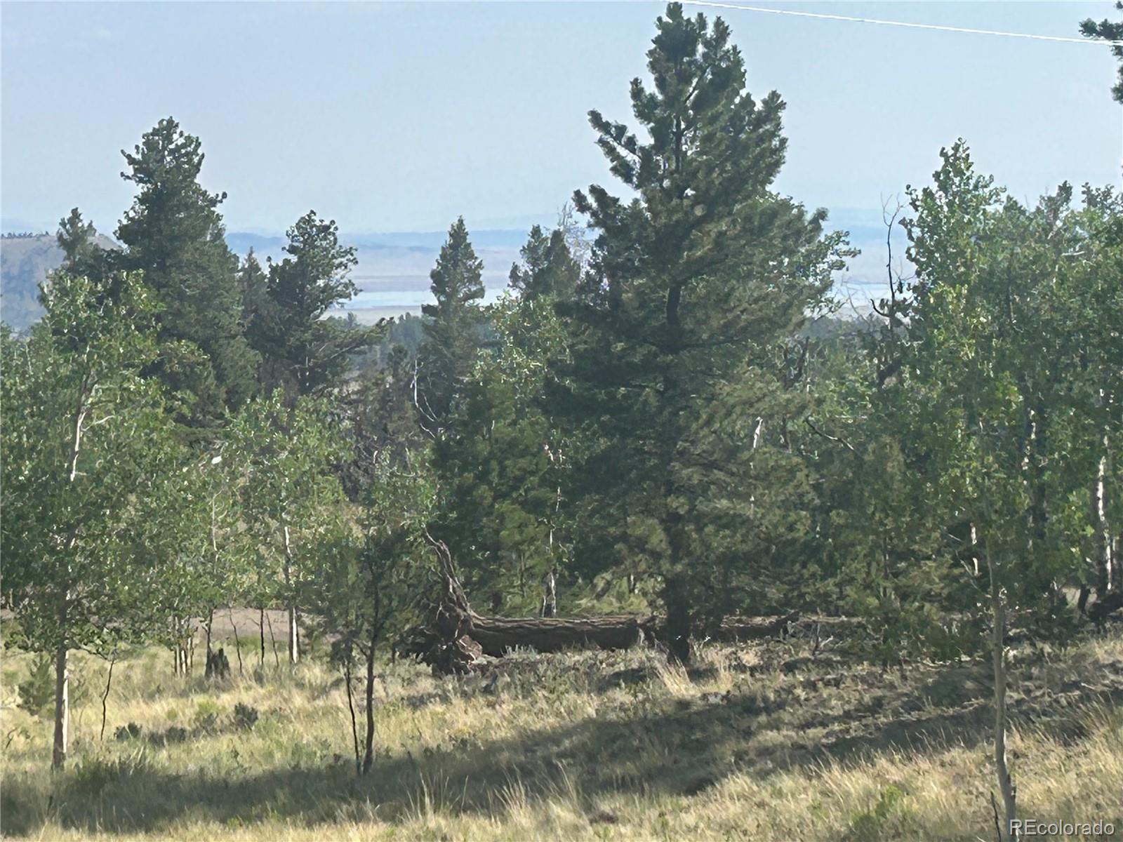 3361 Singletree Road