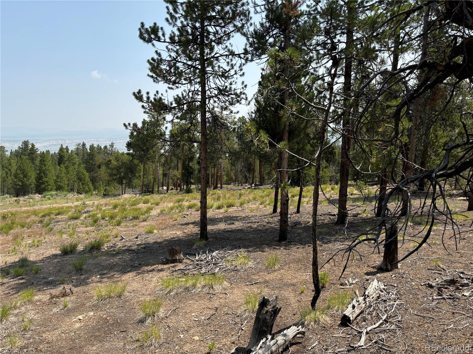 360 Ponderosa Drive