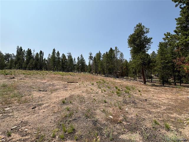 360 Ponderosa Drive