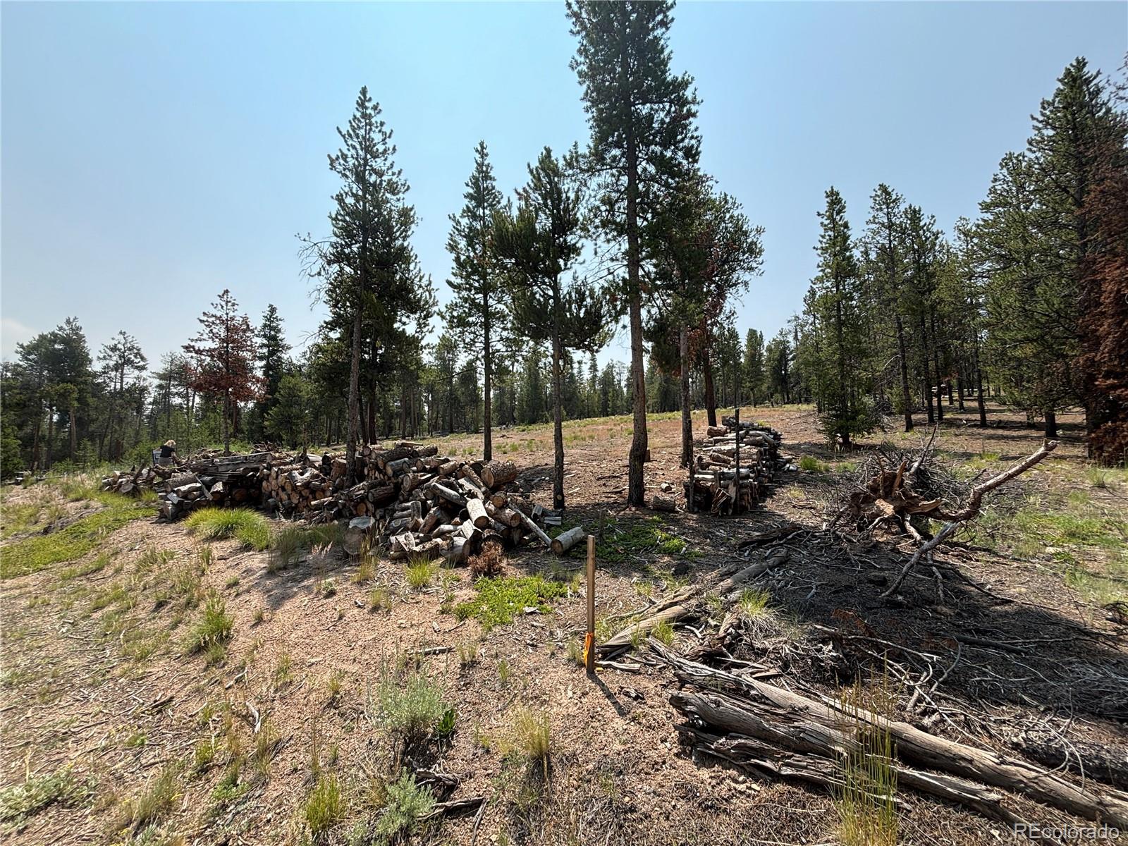 360 Ponderosa Drive
