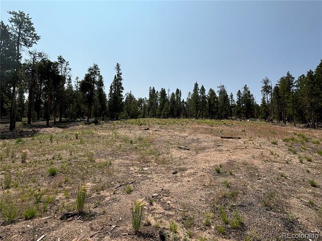 360 Ponderosa Drive