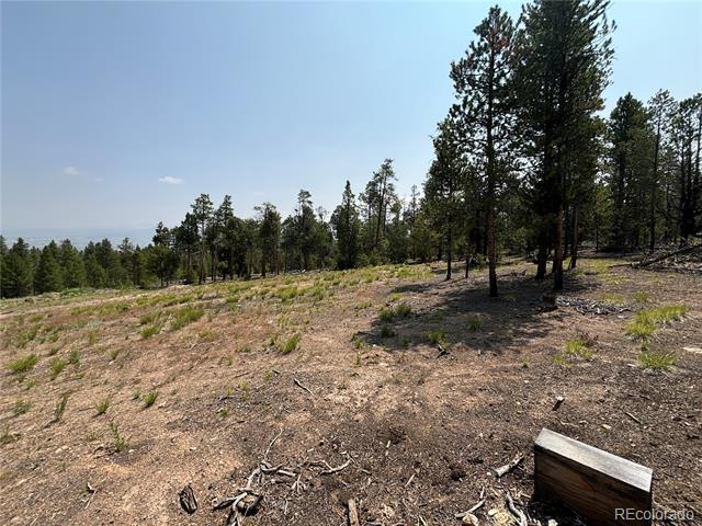 360 Ponderosa Drive