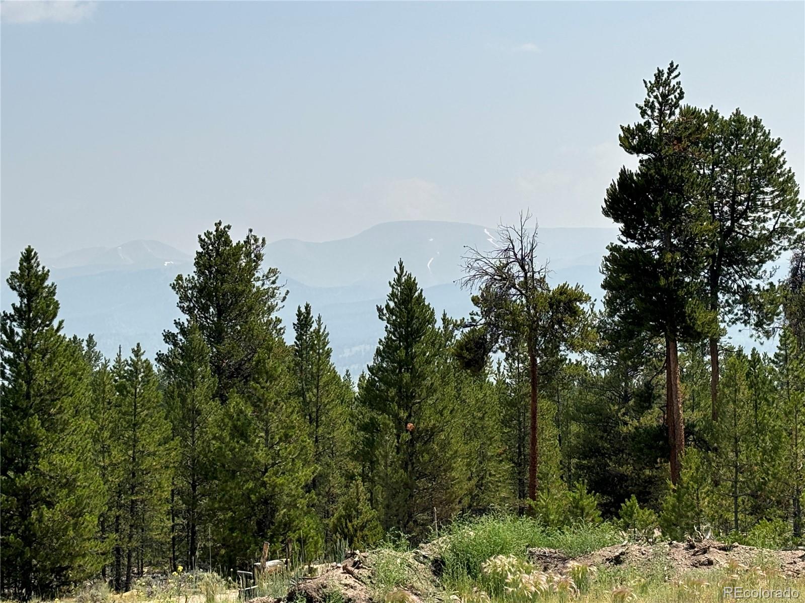 360 Ponderosa Drive