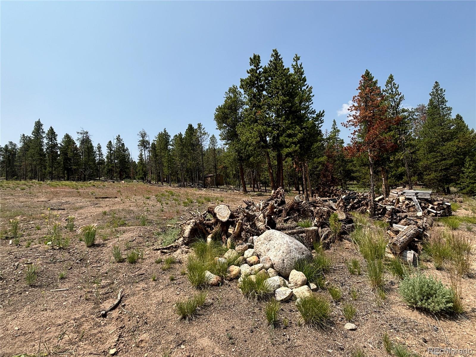 360 Ponderosa Drive