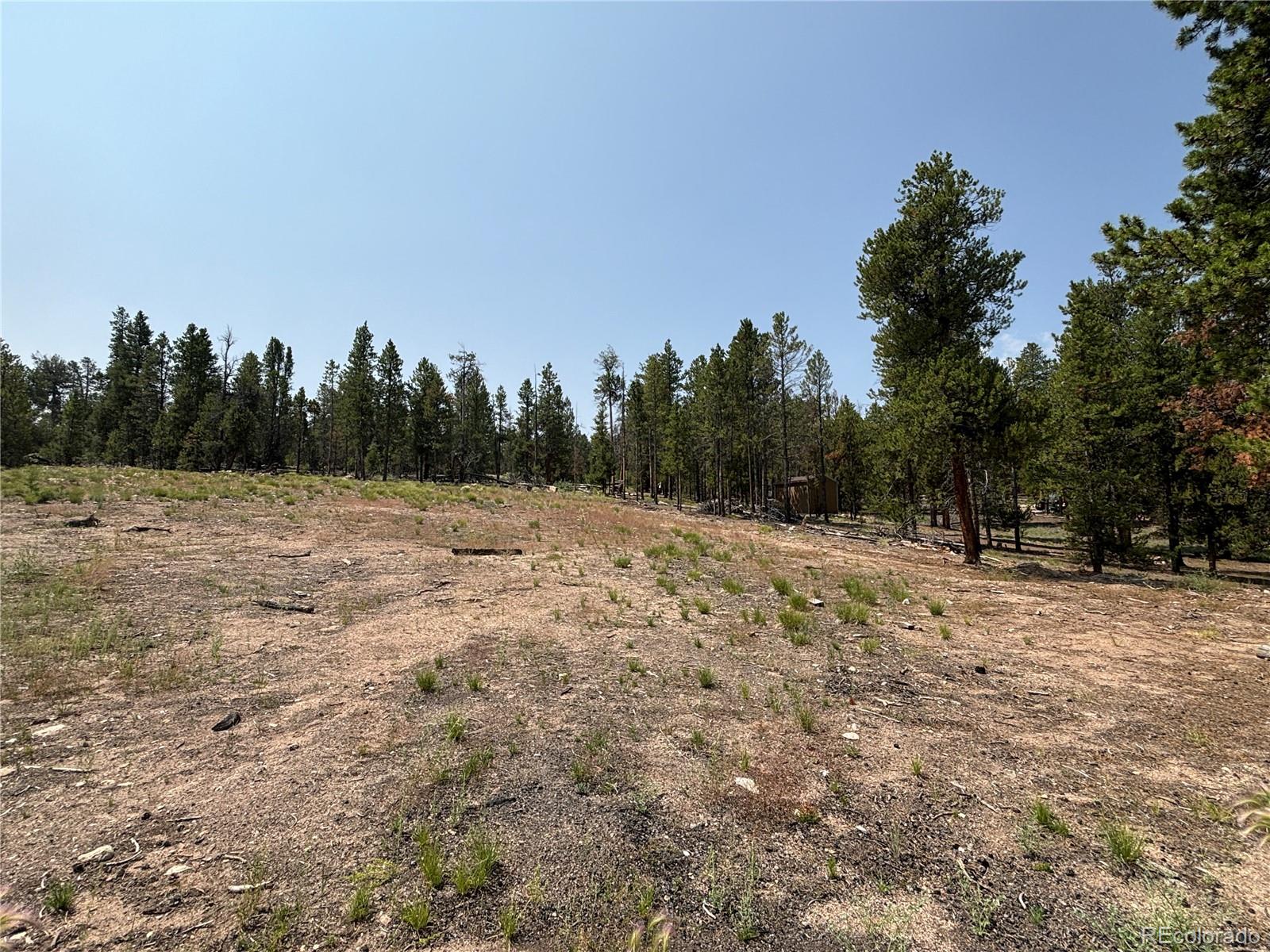 360 Ponderosa Drive