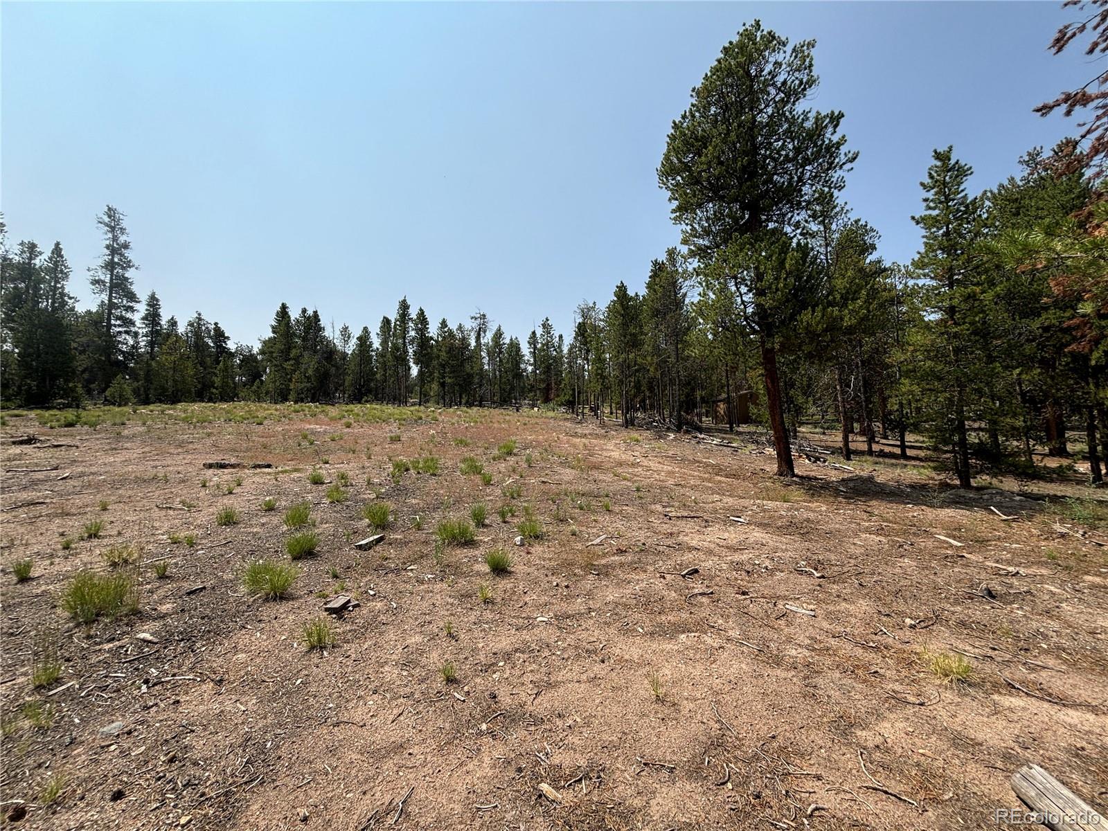 360 Ponderosa Drive