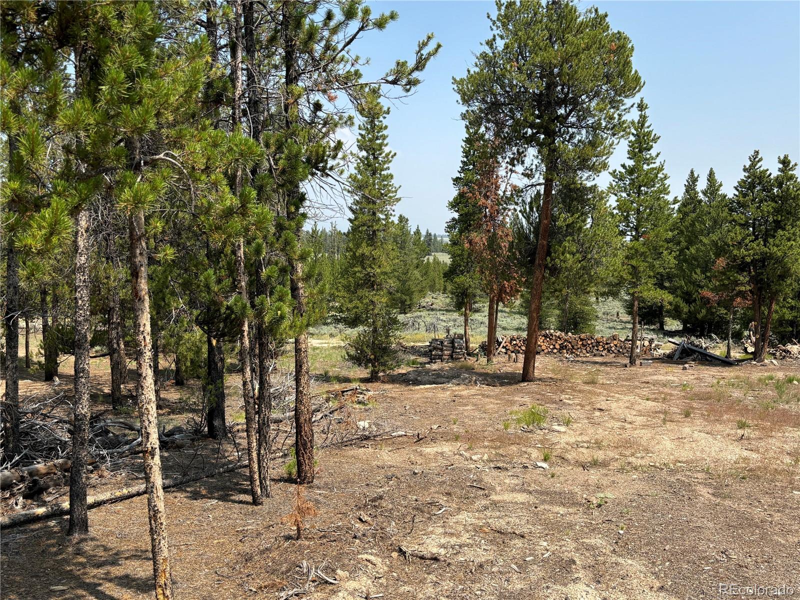 360 Ponderosa Drive
